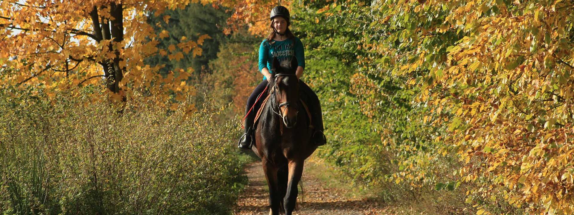 top_reiten